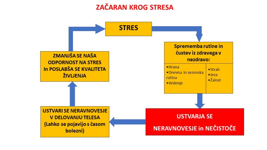 Začaran krog stresa-Ayurveda