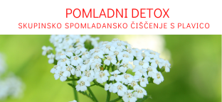 POMLADNI DETOX_naslovnica