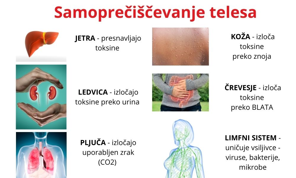 Organi samoočiščenja telesa