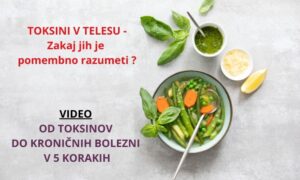 TOKSINI V TELESU – ZAKAJ JIH JE POTREBNO RAZUMETI ?