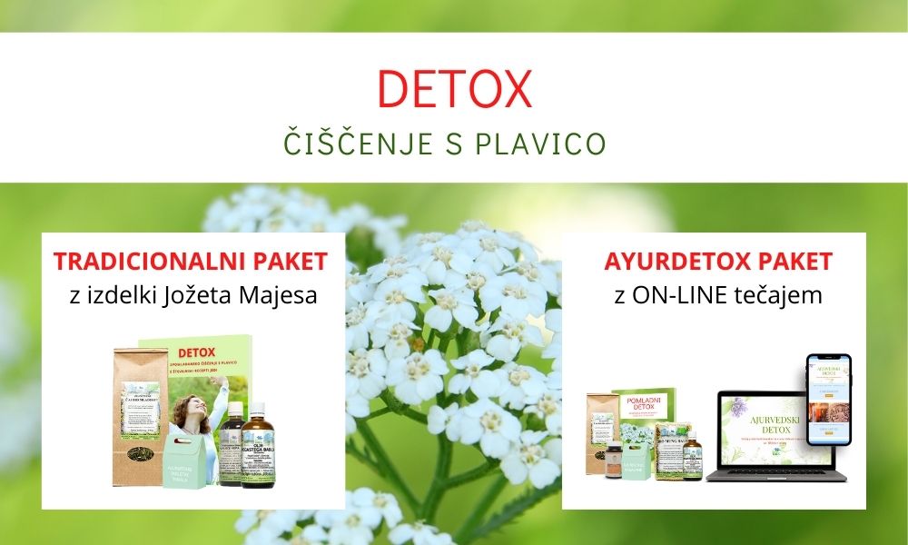 detox paketi