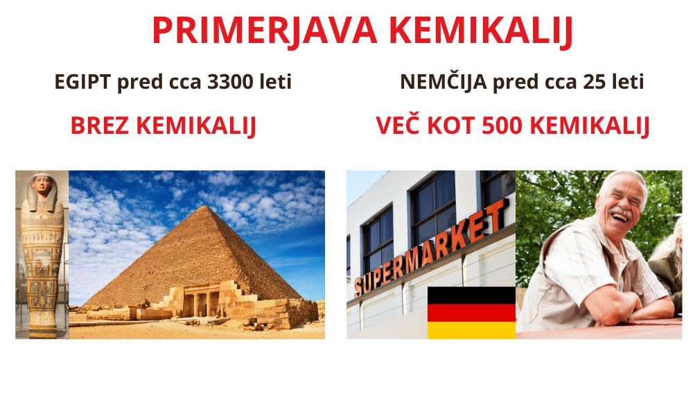 primerjava kemikalij v telesu - mumija - povprečni evropejec